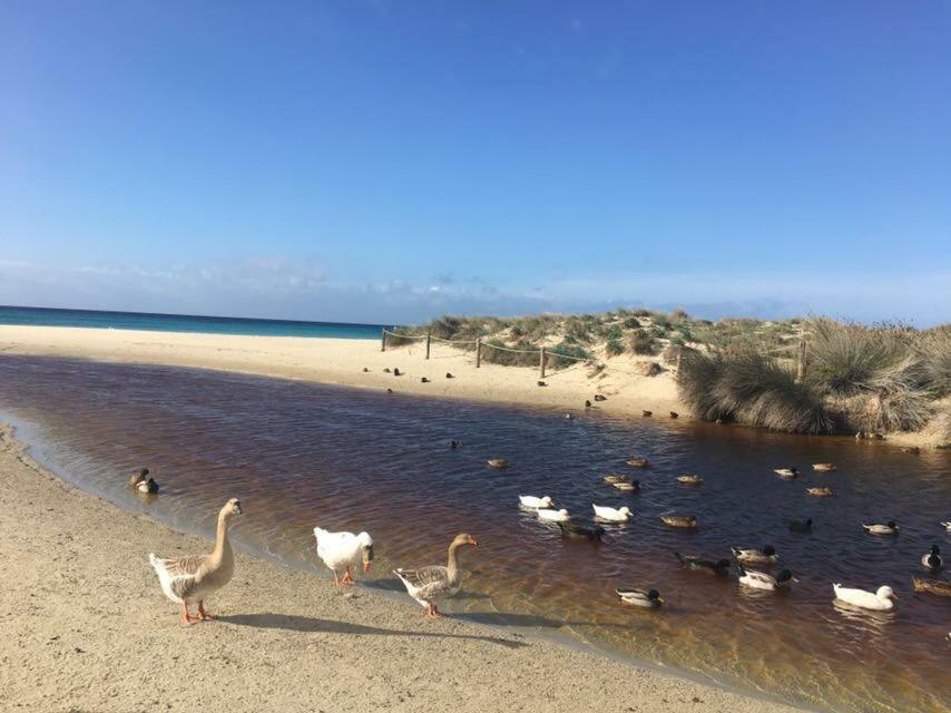 Apartamento El Descanso Son Bou Exteriér fotografie