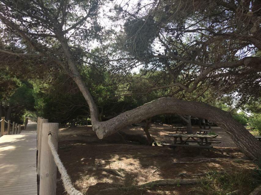 Apartamento El Descanso Son Bou Exteriér fotografie